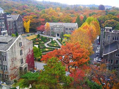 Inilah 10 Universitas Terbaik di Korea Selatan